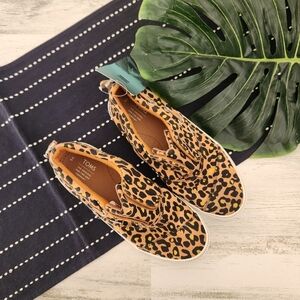 Toms Pasadena Toffee Cheepard Print Slip On Shoe Sneaker NWT Youth 5